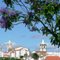 Arronches, Portugal - Jacarandás em flor