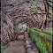¤ Madeira, Portugal, Levada 25 Fountains |  Magic Wonderland | Trolle und Feen im Zauberwald | HDR